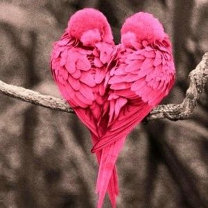 Meet your Posher, Cheri